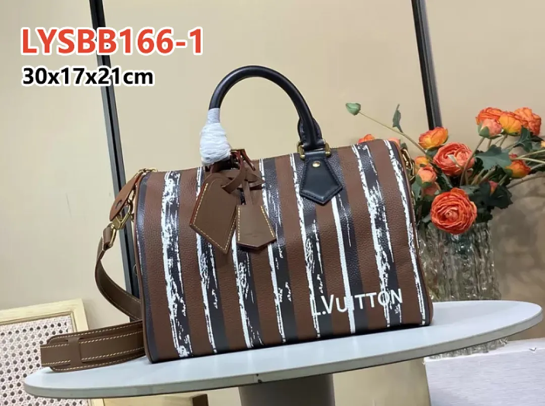 LV LYSBB166 תמונה 9