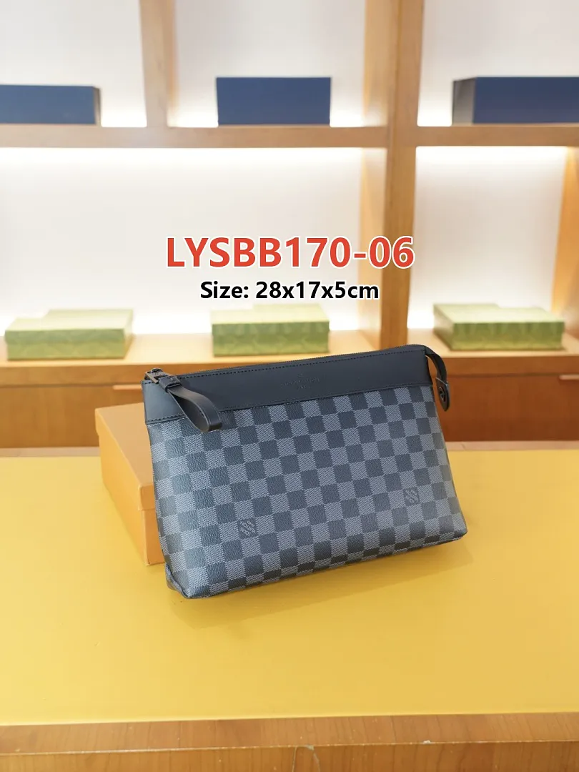 LV LYSBB170 תמונה 15