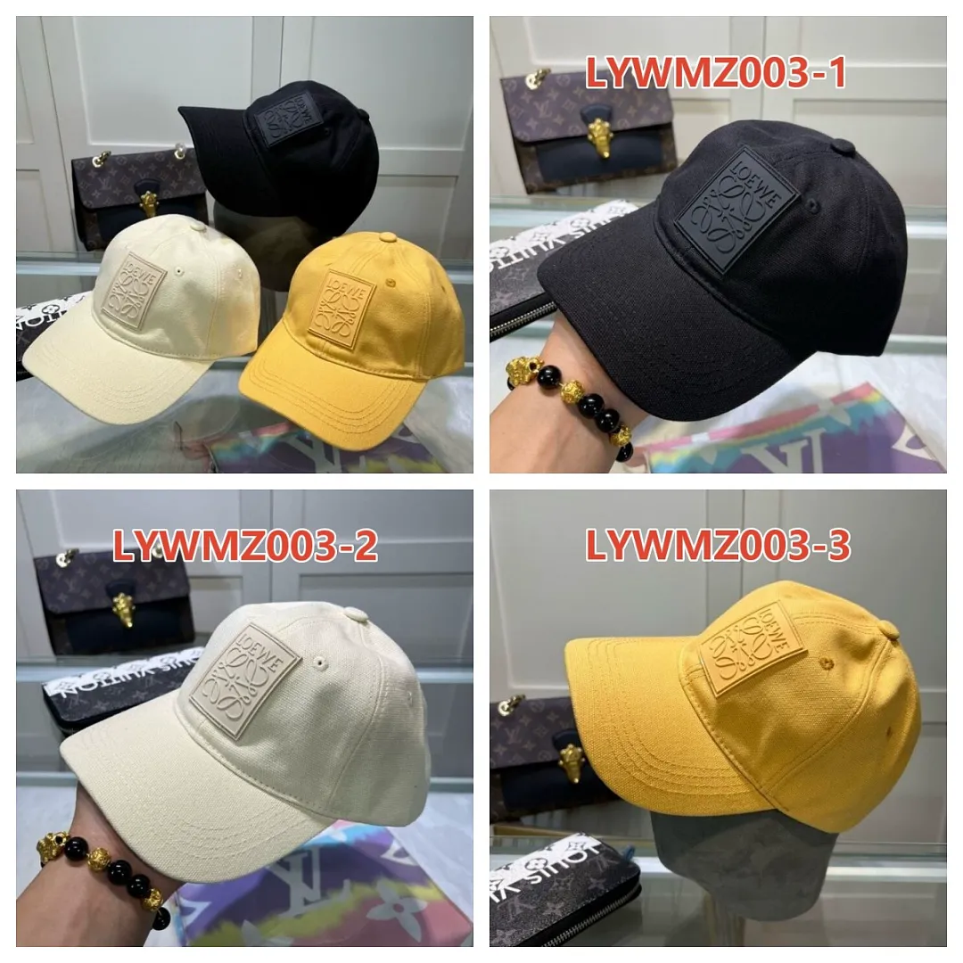 Loewe LYWMZ003 תמונה 10