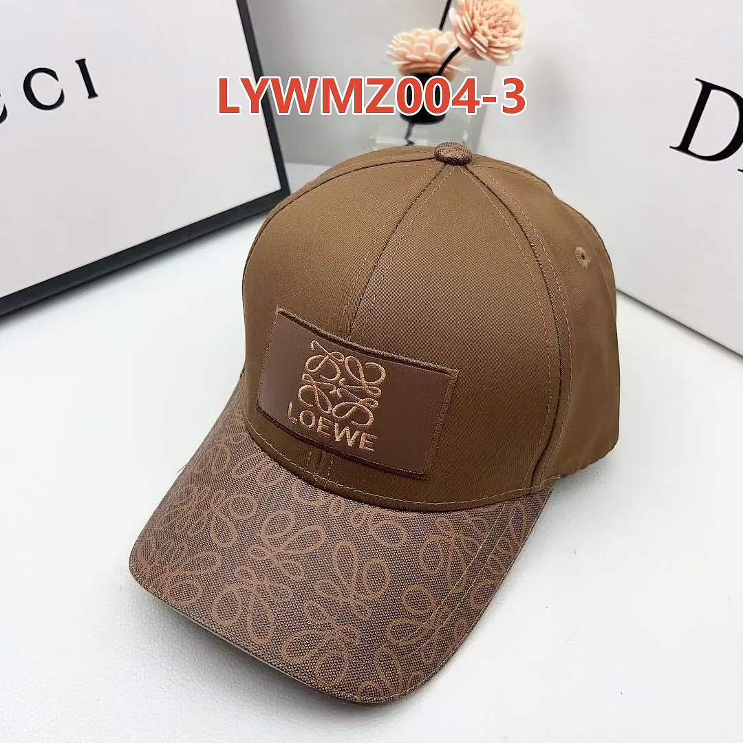 Loewe LYWMZ004 תמונה 9