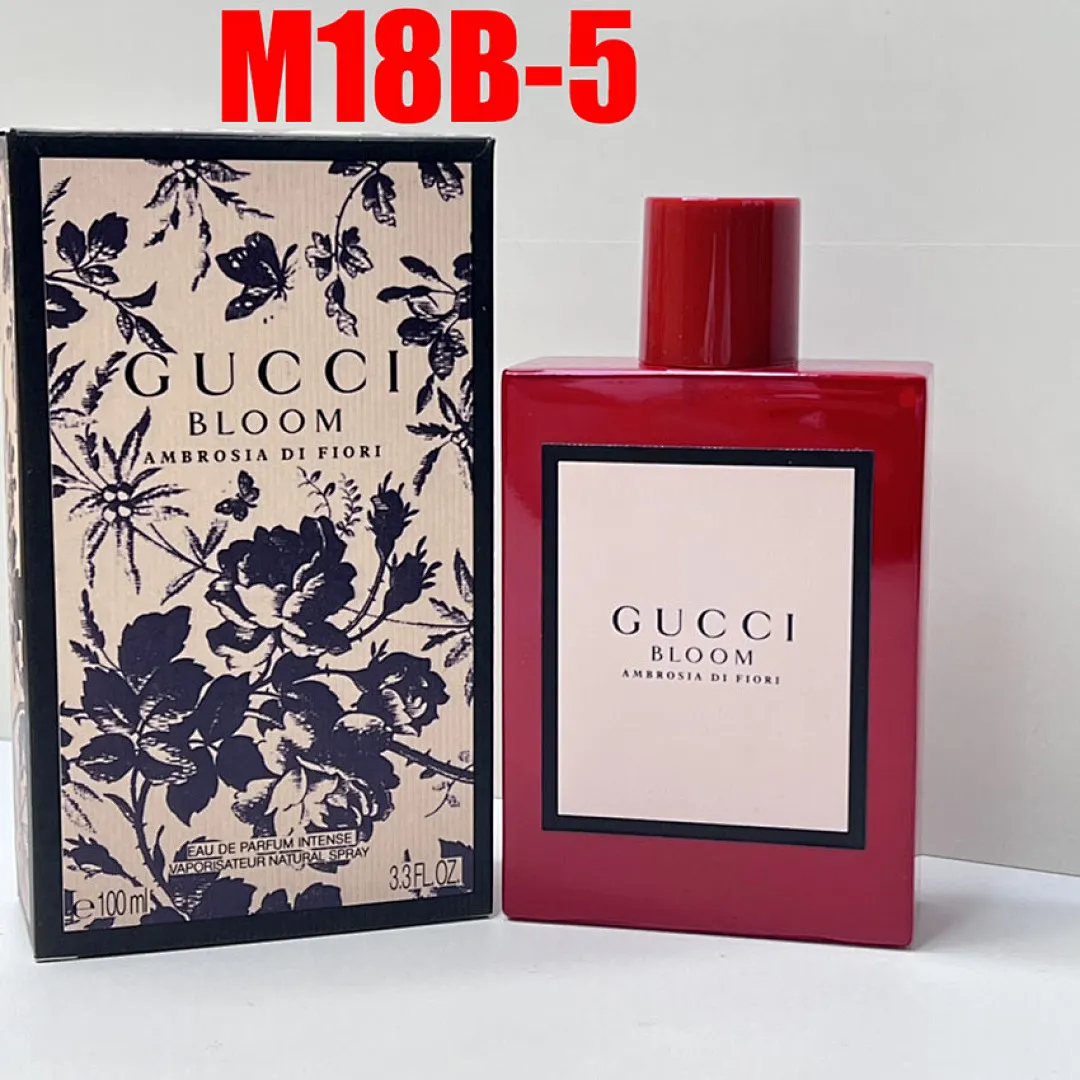 Dolce & Gabbana M18B תמונה 27