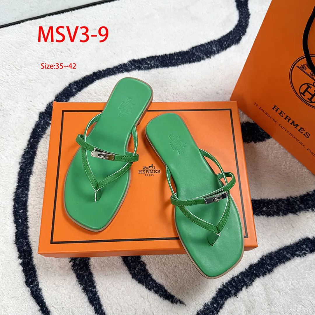 Hermes MSV3 תמונה 20