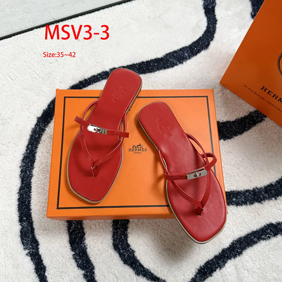 Hermes MSV3 תמונה 26