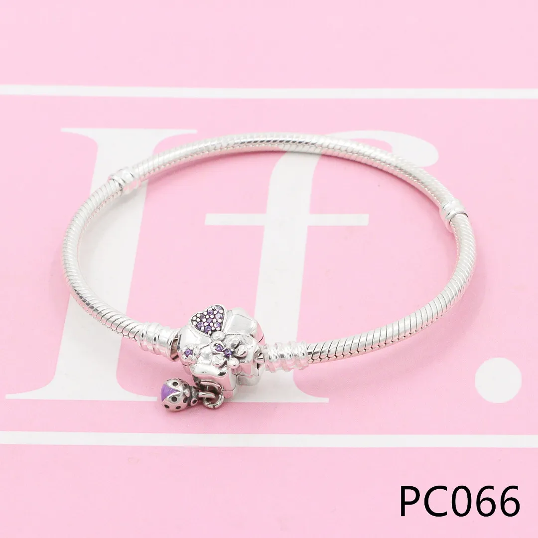 Pandora PC6 תמונה 14