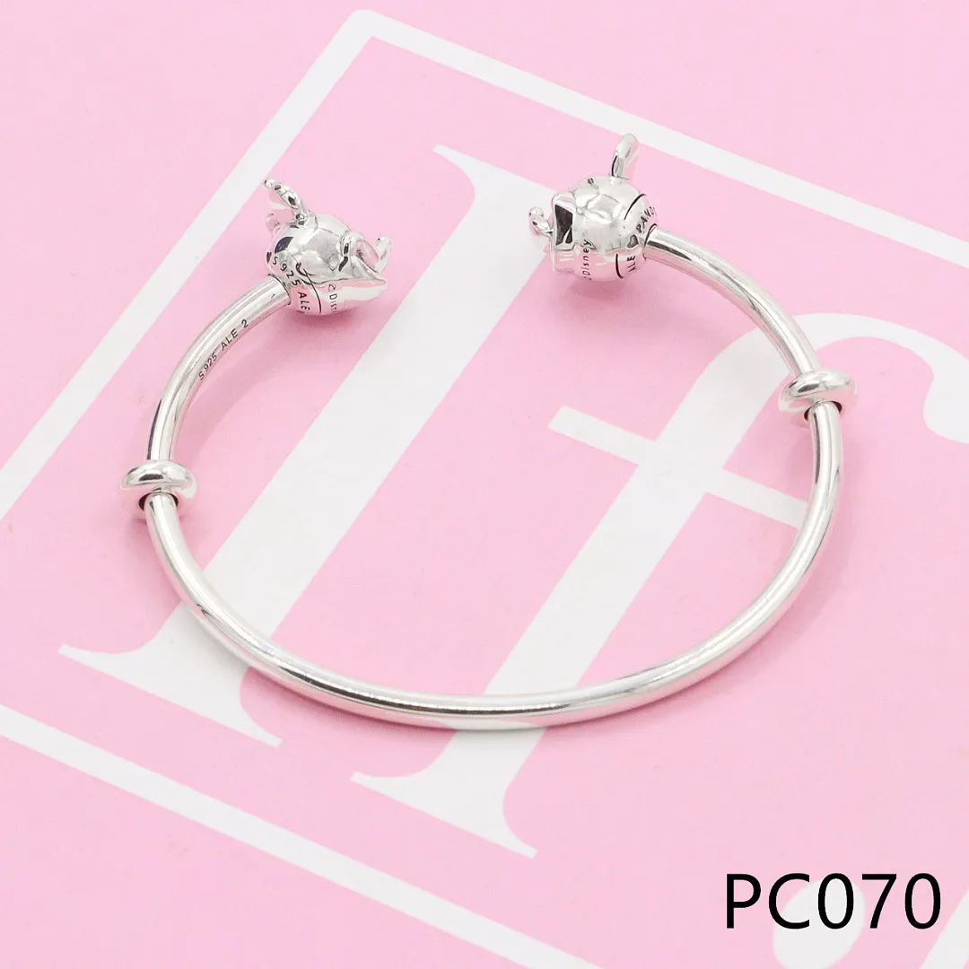 Pandora PC6 תמונה 22
