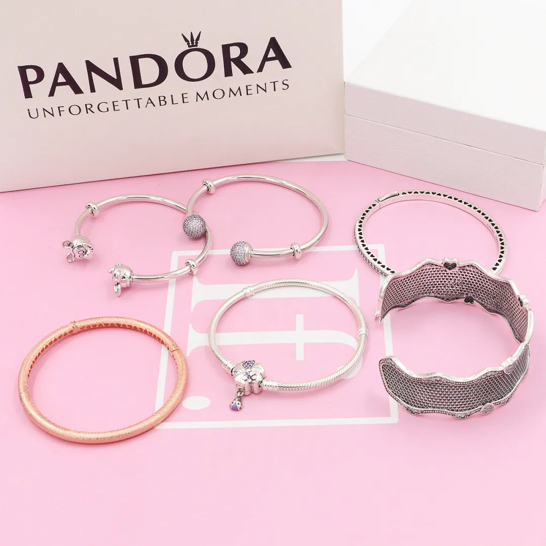Pandora PC6 תמונה 3