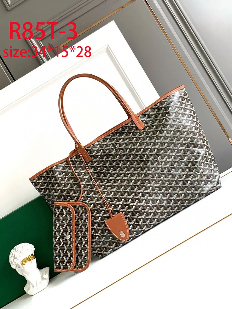 Goyard R85T תמונה 10