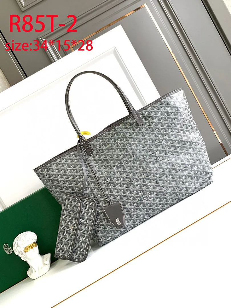 Goyard R85T תמונה 11