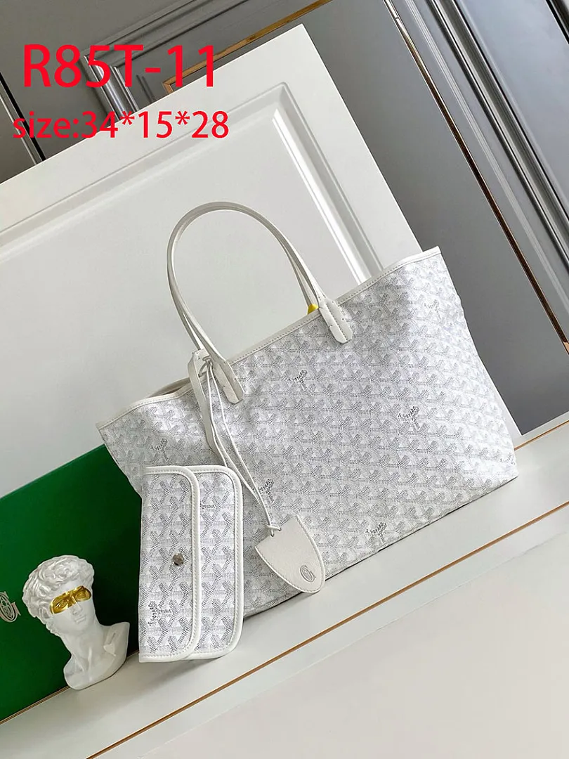 Goyard R85T תמונה 2