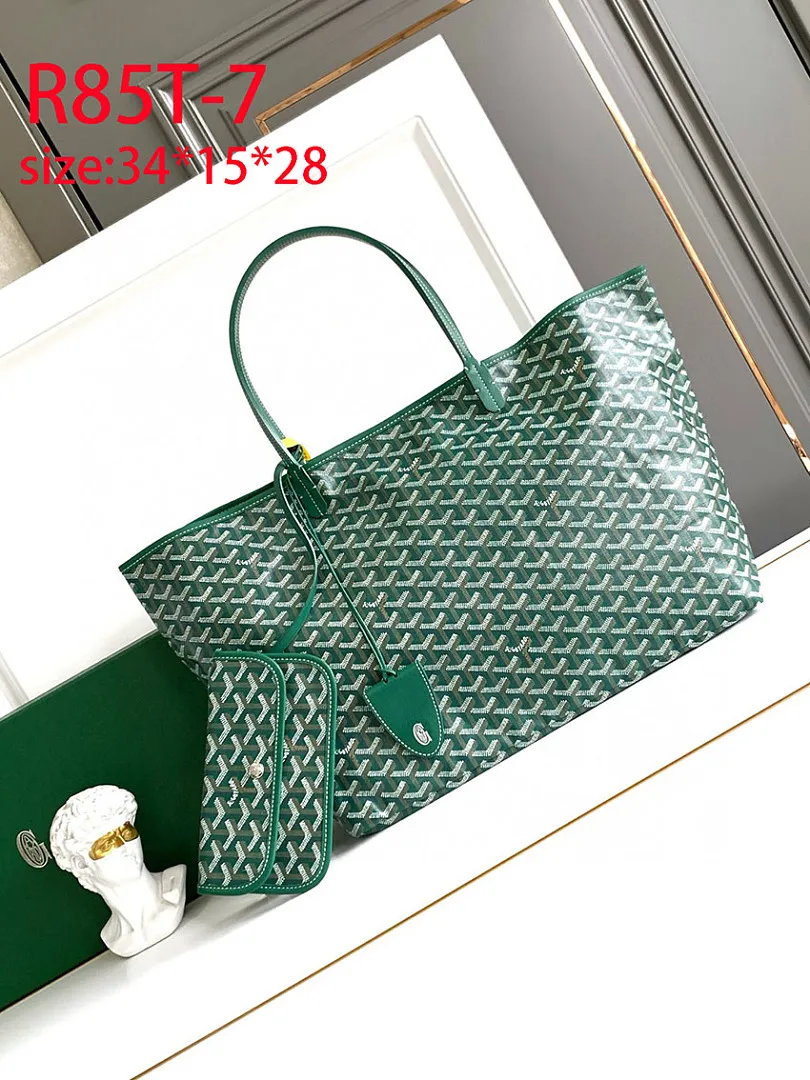 Goyard R85T תמונה 6