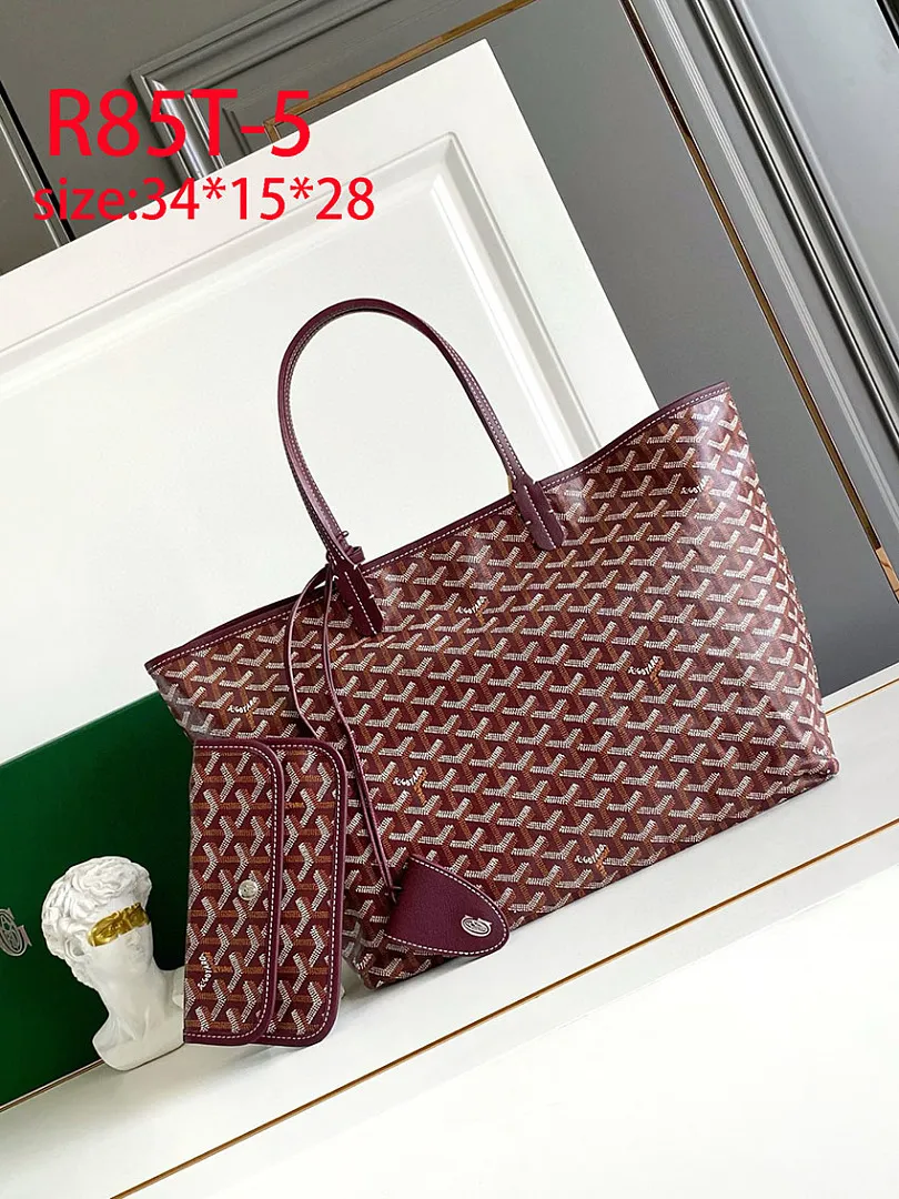 Goyard R85T תמונה 8