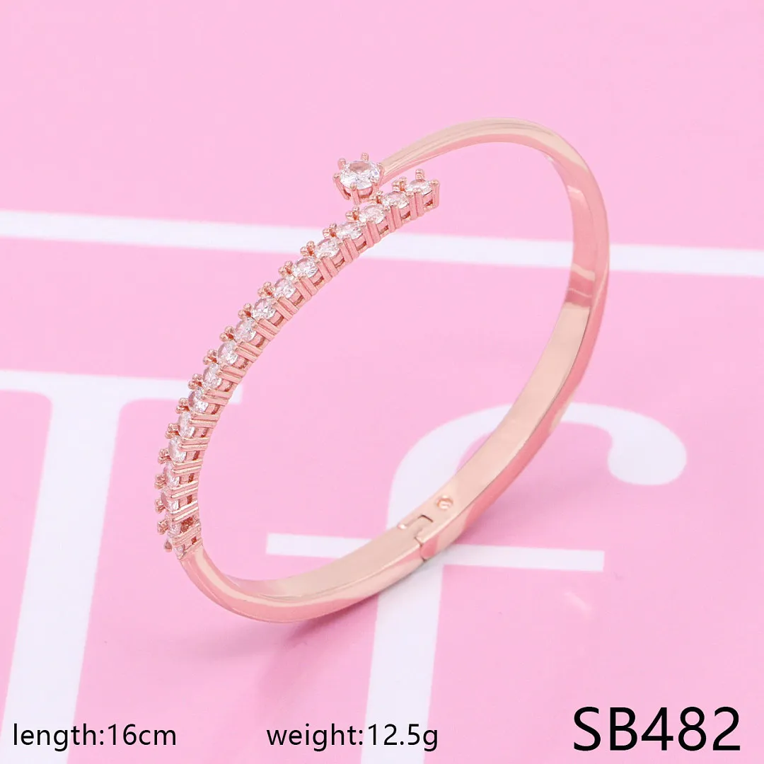 Swarovski SJS100 תמונה 11