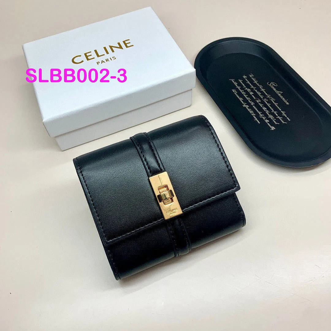 Other SLBB002 תמונה 3