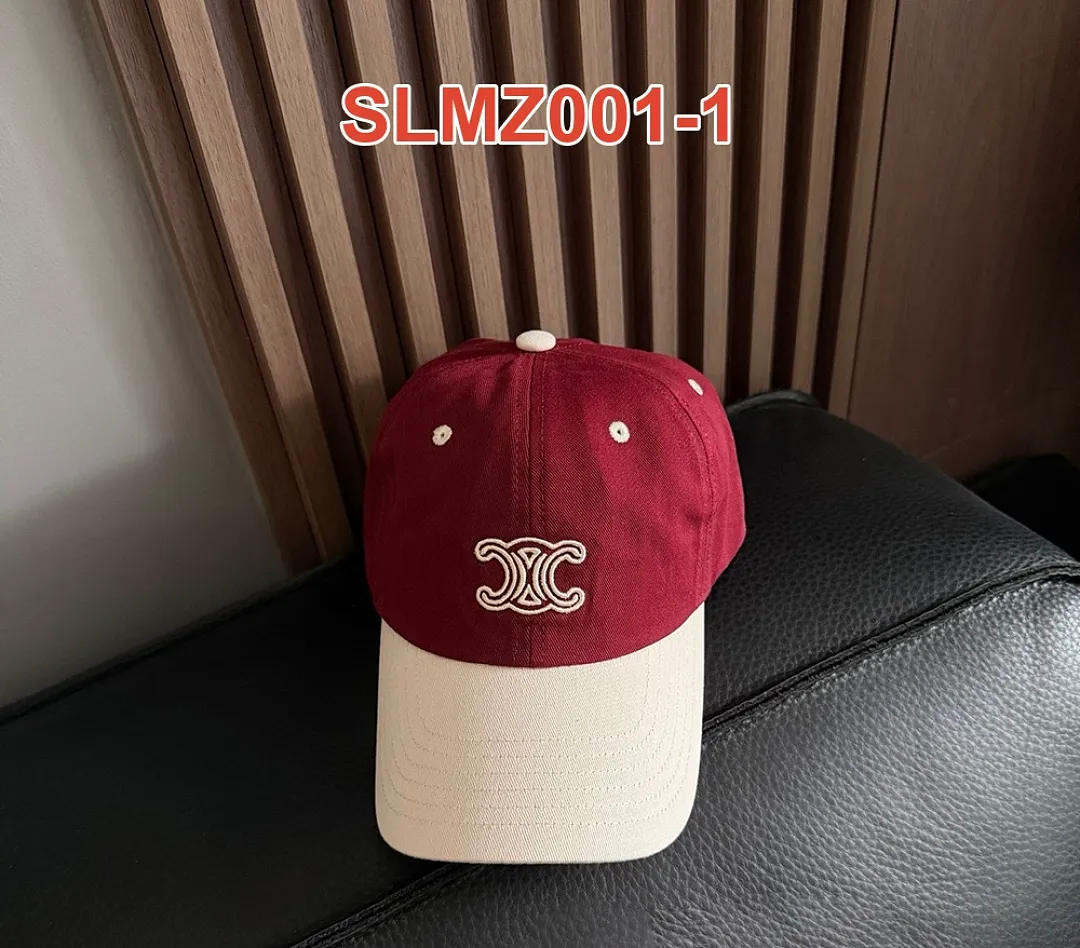 Celine SLMZ001 תמונה 7