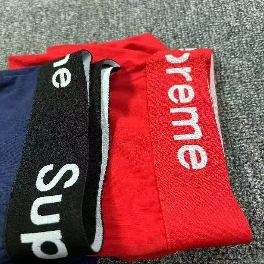 Supreme SPMYF003 תמונה 2