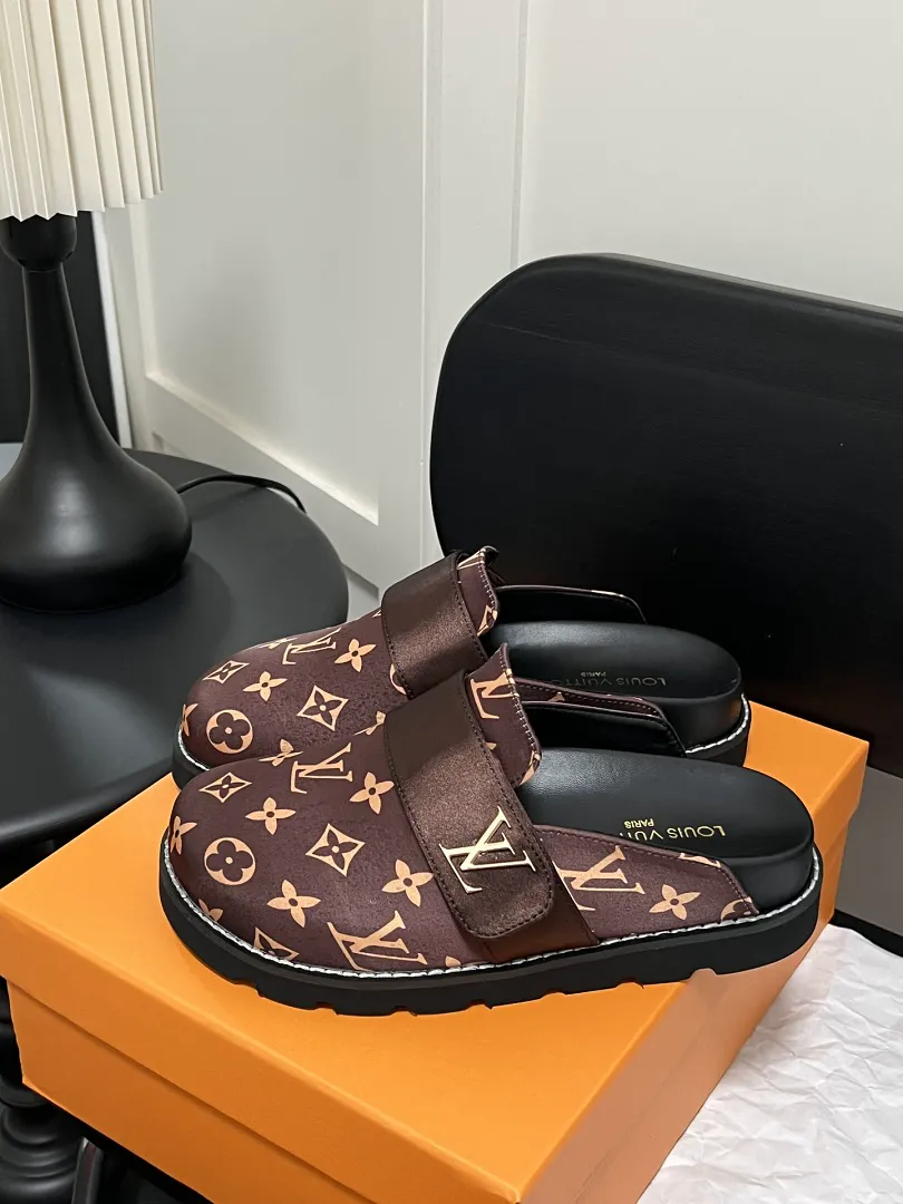 LV V1L תמונה 3