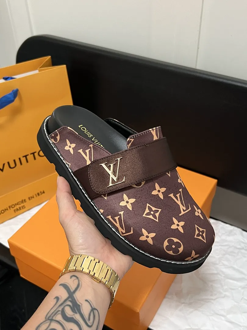 LV V1L תמונה 4