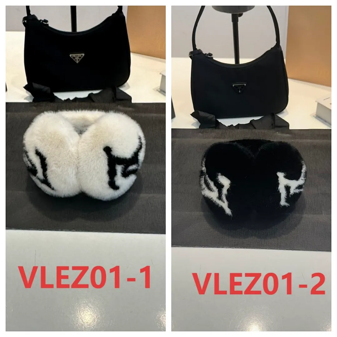LV VLEZ01 תמונה 2