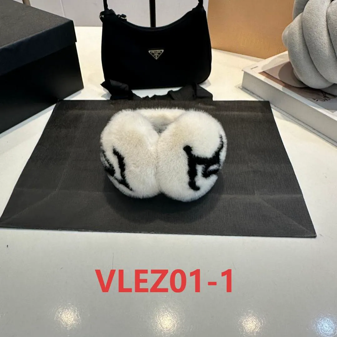 LV VLEZ01 תמונה 3