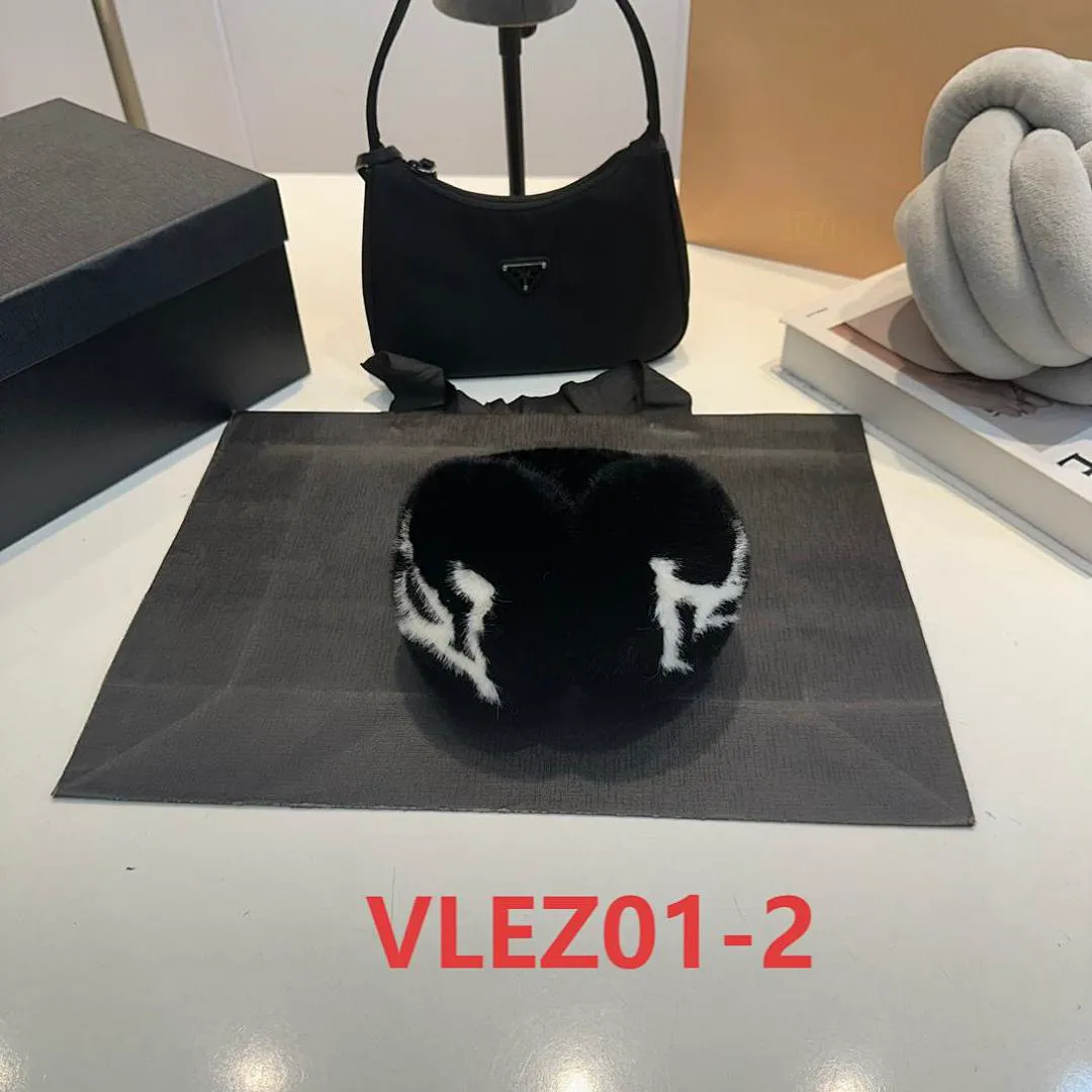 LV VLEZ01 תמונה 4