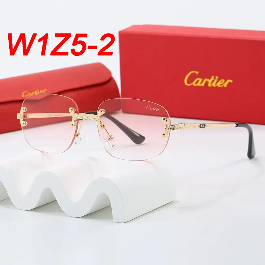 Cartier W1Z5 תמונה 7