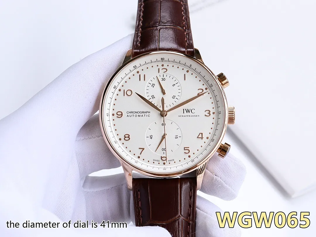 IWC WGW5 תמונה 21